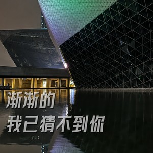 渐渐的我已经猜不到你