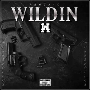 Wildin (Explicit)