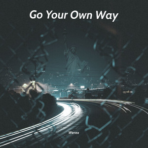 Go Your Own Way (Instrumental version)