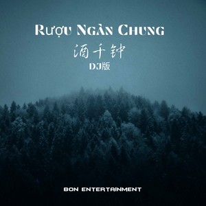 酒千钟 BGM (DJ版)