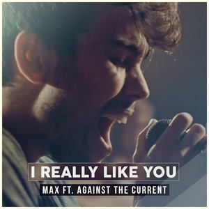 I Really Like You-Max