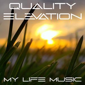 Quality Elevation (Explicit)