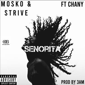 Senorita (feat. Chany) (Explicit)