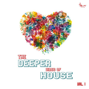 Never Enough (Sahin Meyer Remix)
