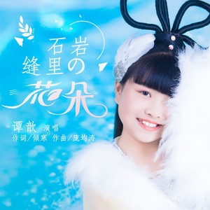 石岩缝里的花朵