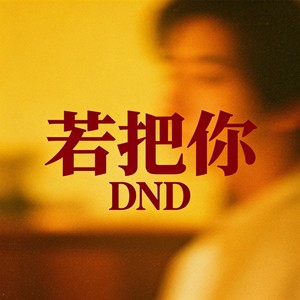 若把你 - DND封面