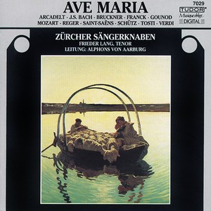 Ave Maria (arr. for choir and chamber ensemble) - Ave Maria (arr. for choir and chamber ensemble)