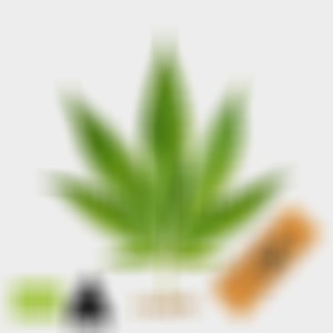 No Flavors (Explicit)