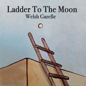 Ladder To The Moon (feat. Hannah Holbrook)