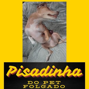 Pisadinha Do Pet Folgado