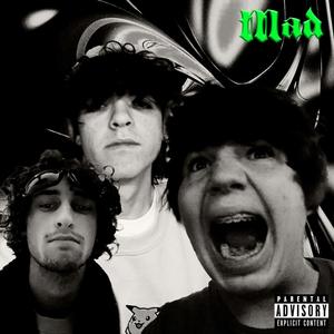 Mad (feat. Jergely & Smittyyy) [Explicit]