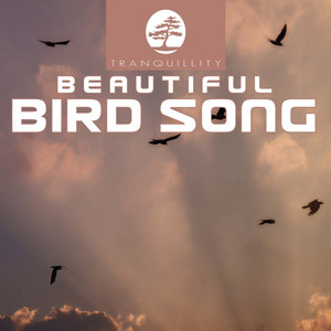Beautiful Birdsong Part 1 - Original