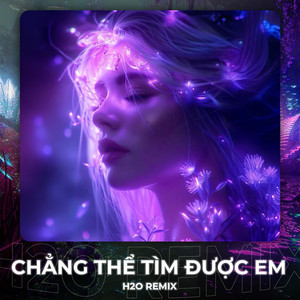 Chẳng Thể Tìm Được Em (Remix House)