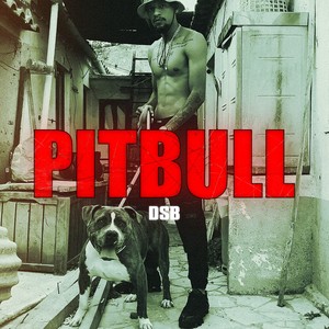 Pitbull (Explicit)