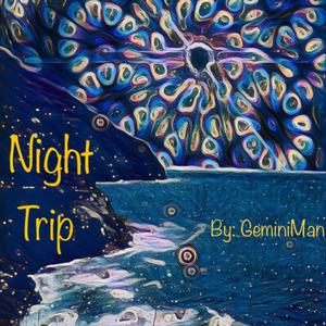 Night Trip (Explicit)