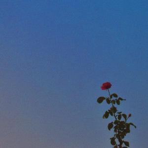 No sleep (feat. quilltros & Eto) (Explicit)