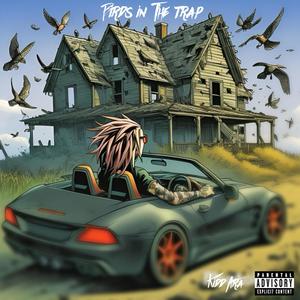 Birds in the trap (Explicit)