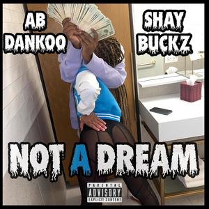 Not A Dream (feat. AB Dankoo) (Explicit)