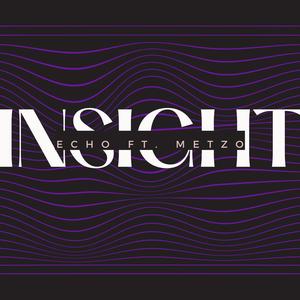 Insight (feat. Metzo) (Explicit)