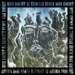 Who Knew? (DJ Seinfeld Remix) [Explicit]