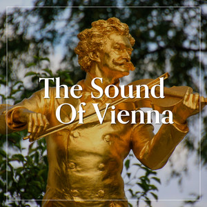 The Sound of Vienna