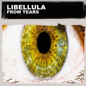 From Tears(Nu Ground Foundation Classic Edit)