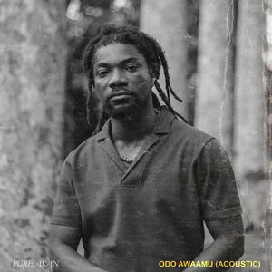 Ntesuo Nkoaa Nnante (Acoustic Version)