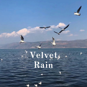 Velvet Rain（DJ完整版）