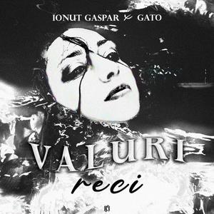 Valuri Reci (feat. Gato)