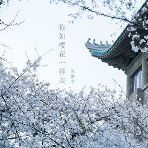 你如樱花一样美