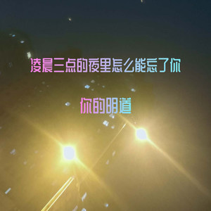 小鸟福特加 (DJ版)