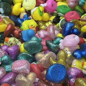 Bruce Stevens - Hatch