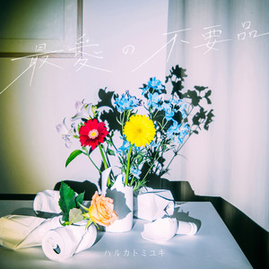 最愛の不要品 (Wonderful waste)