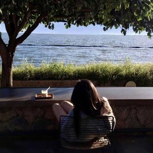 梧桐叶又落 (氛围感)