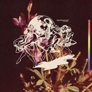 Moongazing (Explicit)