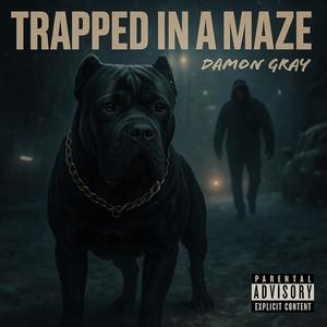 Trapped in a Maze (Explicit)