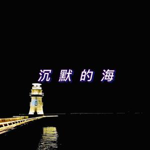 沉默的海