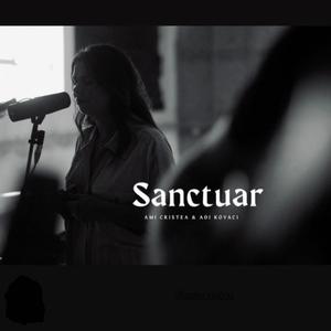 Sanctuar (Live Version)