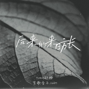 后来的来日方长 (伴奏)