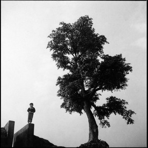 Komorebi at Madou Sugar Factory