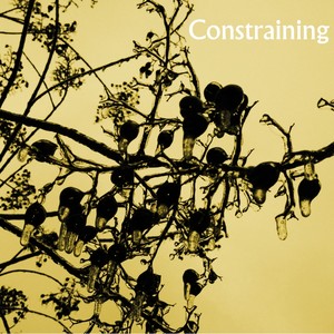 Constraining