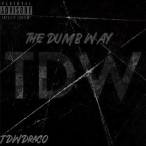 Vet (feat. Luh Syko) (Explicit)