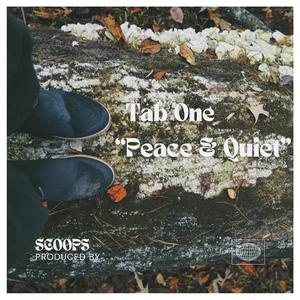 Peace & Quiet (feat. Scoops) [Explicit]