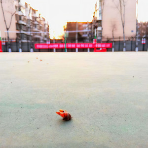 一晃——昊天