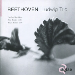 Beethoven: Piano Trios