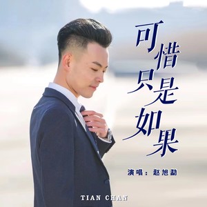 可惜只是如果 (DJ彭锐版伴奏)