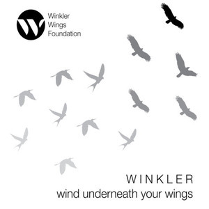 Wind Underneath Your Wings