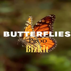Butterflies (Explicit)