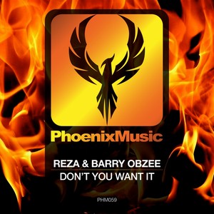 Don't You Want It (Original Mix)