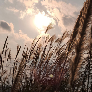 时间褶皱里的光